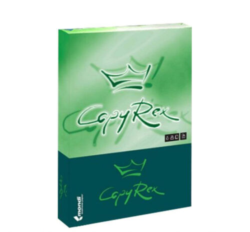 Lot de 5 Ramettes de papier blanc REC