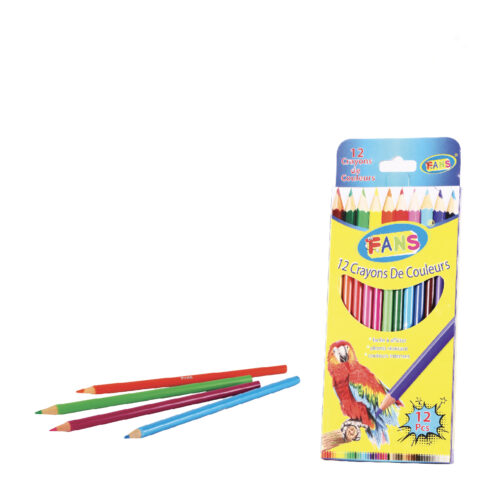 Crayon de couleur de 12 FANS